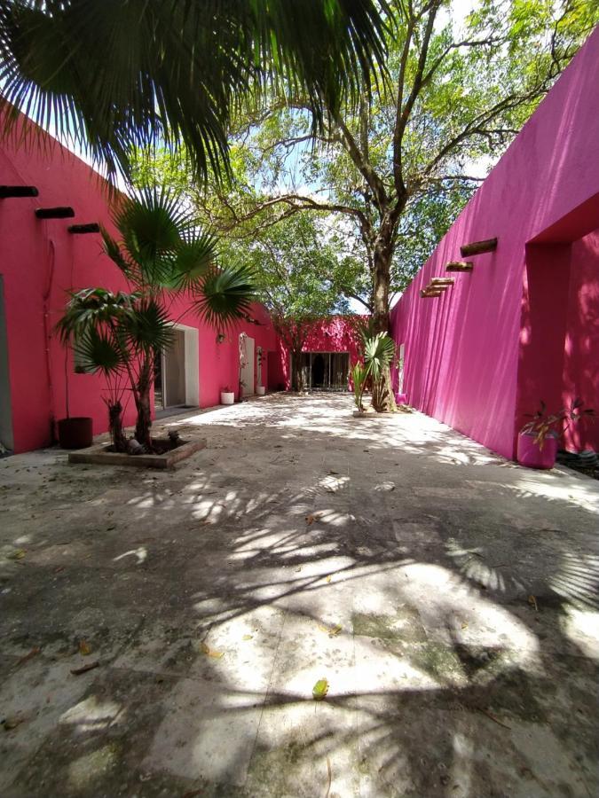 Hotel Casa Isabella Cozumel Esterno foto